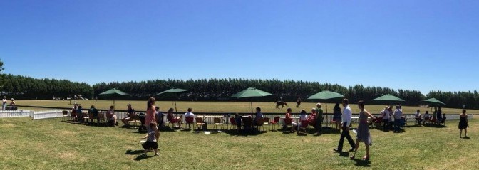 Welcome to Port Hills Polo Club